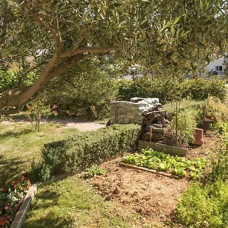 Joseph And Mary Trogir