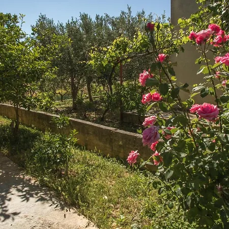 Joseph And Mary Appartement